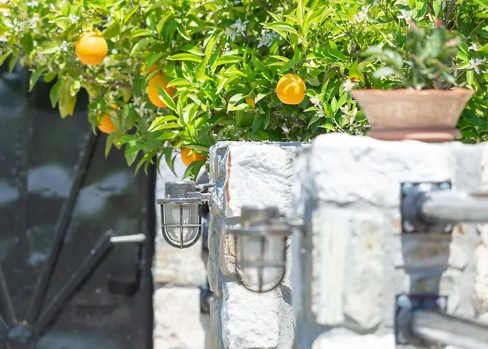 Apartamento Rizes House Agios Nikolaos (Chalkidiki)